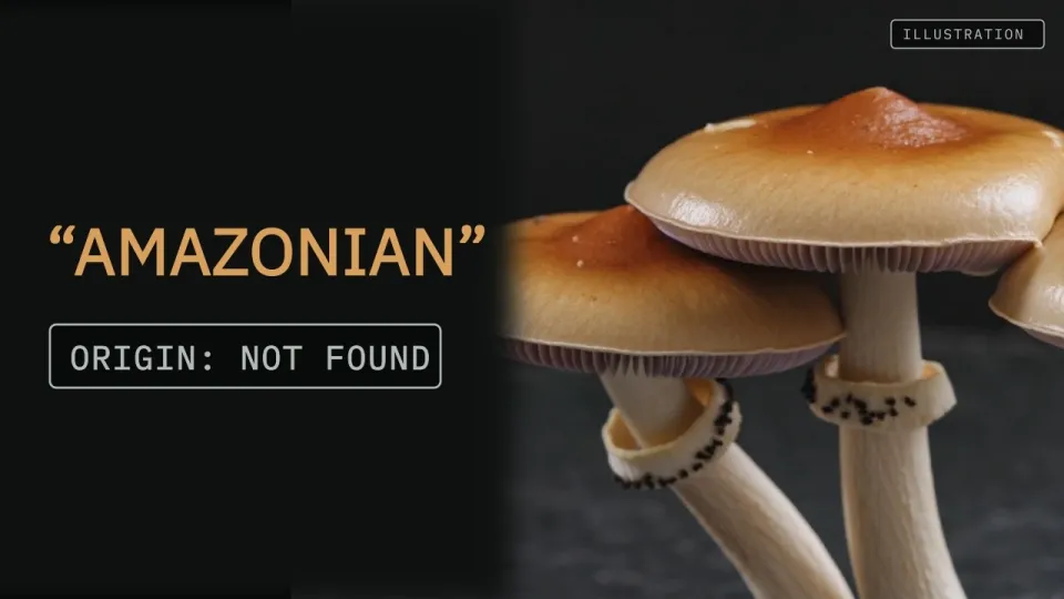 Amazonian mushroom reveals its true identity through detailed scientific research