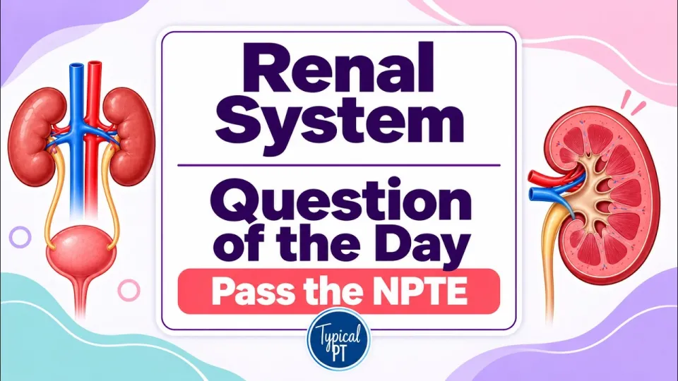 Free NPTE Practice Questions Provide Effective Preparation for Renal and Chronic Kidney Disease Topics